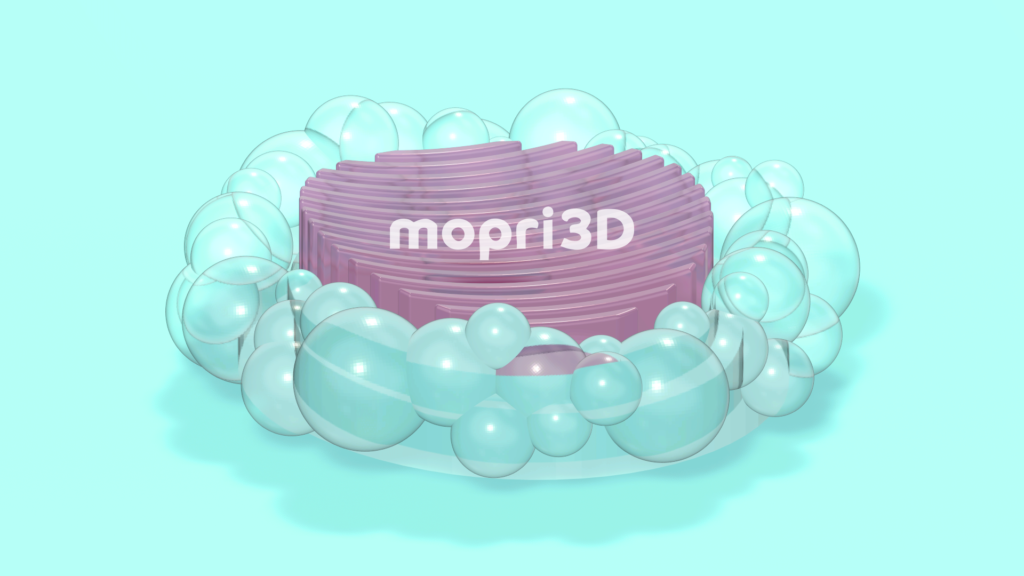 バブルソープディッシュのモデリング